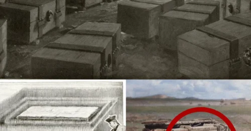 THE HAUNTING PHOTOGRAPH FROM THE MONGOLIAN DESERT: The Chilling Story of the Woman Condemned in a Wooden Box 7