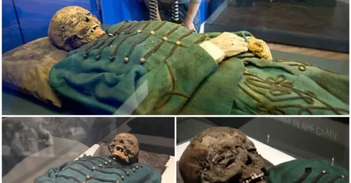 Mystery Solved: The Precise Technique of Preserving Vampire Corpses