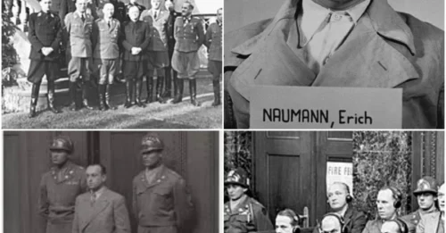 THE PRICE PAID AFTER THE WAR: The Horrific Death of an SS Officer Who Claimed He Was 