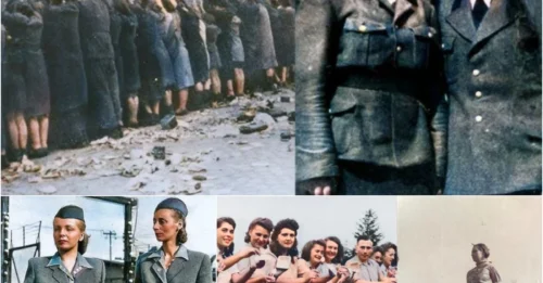 THE DAY THE FEMALE WARDENS OF PAWIAK PRISON RAN SCARED AND FLED Before the Courage of the Women Prisoners: The Unrecorded Fate of Pawiak’s Notorious Guards – Executed in the Streets for Their Horrific Crimes