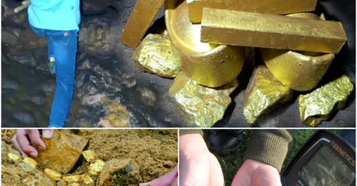 The Old Long-Buried Treasure in the Cave Has Been Discovered