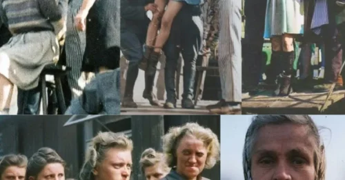 THE DAY THE WOMEN OF BERGEN-BELSEN MET THEIR FINAL JUDGMENT: The Infamous Guards Behind the Suffering and Death of 50,000 Prisoners – The Long-Waiting Souls Whose Justice Was Finally Served 7