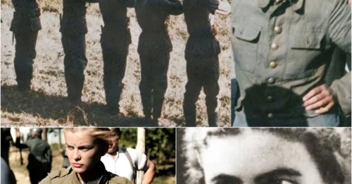 THE BEAUTIFUL FEMALE SOLDIER FIRST PUBLICLY EXECUTED BY THE NAZIS IN WORLD WAR II: After 3 Days of Torture, Elżbieta Zahorska - The Courier Who Never Spoke a Word - The Martyr Symbol for a Free Poland
