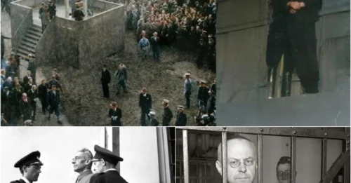 50,000 PEOPLE WERE PRESENT TO WITNESS THE PUBLIC EXECUTION OF THE 