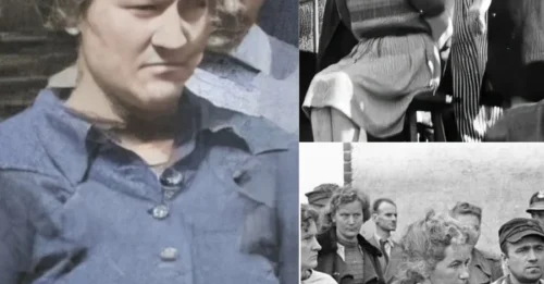 A CROWD OF 30,000 GATHERED TO WITNESS HER FINAL JUDGMENT: Ewa Paradies – The Guard Notorious for Her Cruel Treatment of Stutthof Prisoners, Whose Harsh Rule Was Ended by a Polish Verdict and a Legal Execution 7