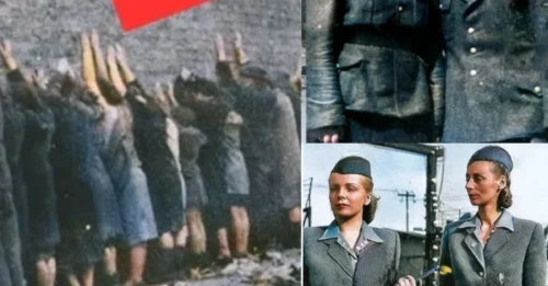 THE DAY THE FEMALE WARDENS OF PAWIAK PRISON LOST THEIR NERVE AND VANISHED Before the Courage of the Women Prisoners: The Unrecorded Fate of Pawiak’s Notorious Guards – Removed in the Aftermath for Their Atrocious Conduct 7