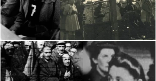 THE WOMAN WHO PLAYED GOD AT RAVENSBRÜCK: How Nurse-Turned-Executioner Greta Bosel Chose Who Lived for the Youth Camp and Who Died in the Gas Chamber – The Final Reckoning on May 3, 1945.