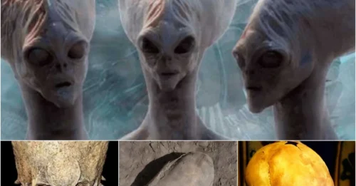 An alien skull, of unknown origin, has been unearthed, stumping archaeologists and challenging everything we thought we knew about our origins.