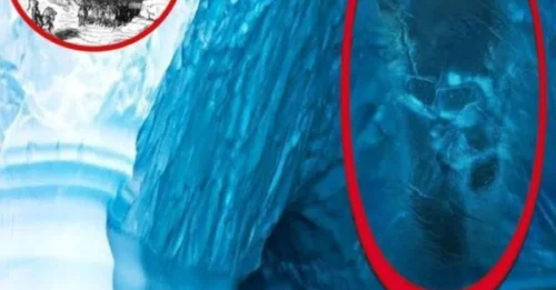 Shocking real giant found inside Antarctica ice wall authentic evidence