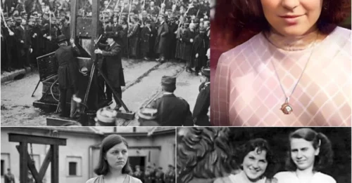 THE YOUNGEST GIRL Executed by a GERMAN GUILLOTINE in History: The Bitter Final Words of the 19-Year-Old Girl And an INJUSTICE That Took 47 Years to Be CLEANSED
