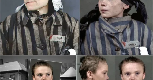 The MOST HAUNTING AUSCHWITZ PHOTOGRAPH: The Tragic Death of Czesława Kwoka – The Resilient 14-Year-Old Flower with a Timeless Gaze in the Final Moments of Her Life