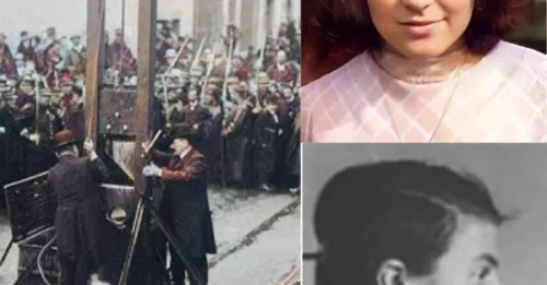 The 19-Year-Old Executed by the German Guillotine: Her Last Words Revealed and the 47-Year Fight for Exoneration HM