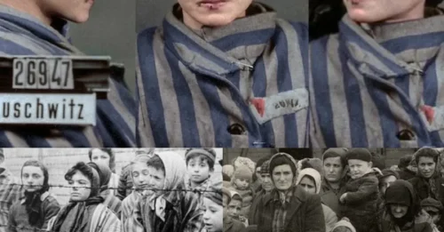 The Most Haunting Auschwitz Photograph: Czesława Kwoka – The Resilient 14-Year-Old Flower with a Timeless Gaze in Her Final Days at the Camp 7