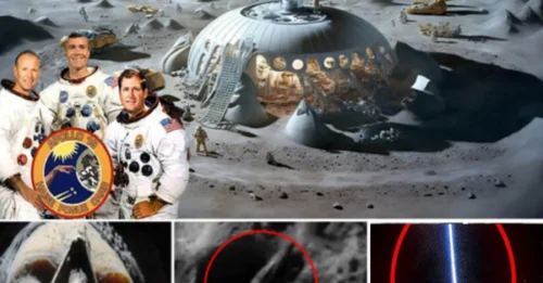 NASA Astronauts Uncover Alien Signals from the Moon, Sparking Future Collaboration Hopes