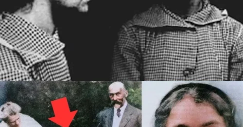 THE FINAL FATE OF THE WOMAN WHO ATTEMPTED TO SHOOT LENIN: The Catastrophic End and Last Words of Fanny Kaplan – A Revolutionary Leader’s Fate 7