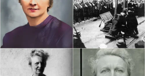 Standing Before the GUILLOTINE Still Singing the NATIONAL ANTHEM: Bertie Albrecht, 50 Years Old – The GREAT Woman of France Who, Despite Being Hunted and Tortured by the Nazis, NEVER BOWED HER HEAD