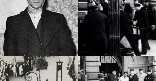 The Man GUILOTINED PUBLICLY For the Last Time in France: 10,000 People Witnessed the GRUESOME DEATH of Eugen Weidmann, Which Forced FRENCH LAW to Make a Historic Decision