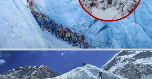 DISASTER ZONE NIGHTMARE: A Desperate Call for Help as 600+ Climbers Are Trapped by Everest’s Worst Blizzard 7