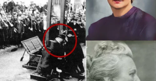 Standing Before the Guillotine Still Singing the National Anthem: Bertie Albrecht, 50 Years Old – The Great Woman of France Who, Despite Enduring Brutal Nazi Oppression, Never Bowed Her Head 7