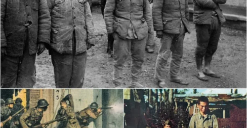 THE AKIKAZE MASSACRE: Japanese Military Executed German Civilians in World War II – A wartime offense uncovered hm
