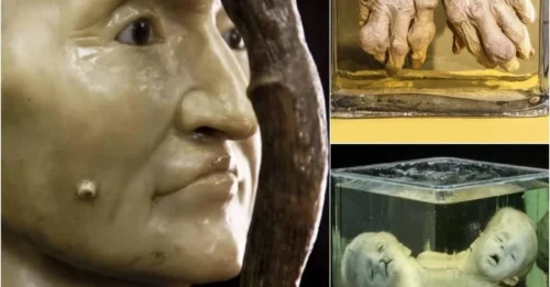Spine-Chilling Encounters: A Visit to the World’s Scariest Museum