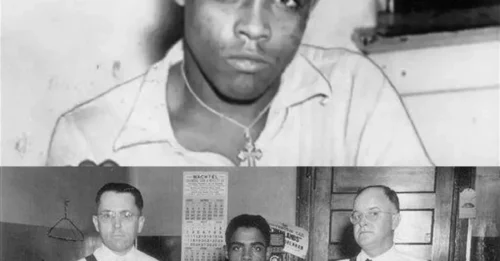 THE Last Man PUBLICLY EXECUTED in AMERICA: Nearly 20,000 People Gathered to Witness Rainey Bethea’s Sentencing Event, Forcing America to Change Its Laws IMMEDIATELY 7