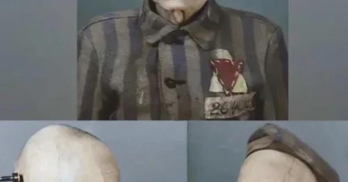 The Most Unforgettable Face of Auschwitz: The Elderly Man Who Endured Only 5 Days — And a Defiant Gaze That Captured a Century of Human Suffering 7