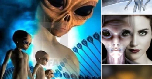 Mindblowing revelation Aliens from Andromeda share that humans are ancient extraterrestrials, calling Earth home for millions of years