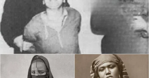 THE FINAL WOMAN EXECUTED IN EGYPT: Samiha Hamid – The Stunning Spouse Who Displayed Courage Before the Gallows – Ending 40 YEARS OF SILENCE IN EGYPT. hm