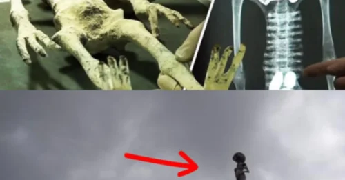 Extraterrestrial Encounter: Alien Spotted on Residential Rooftop!