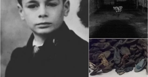 The Handsomest Youth of Auschwitz: The Dying Moments of 12-Year-Old Gedale Hejblum in the Extermination Room – No Photograph, No Grave, Nothing but His Name Persists. hm