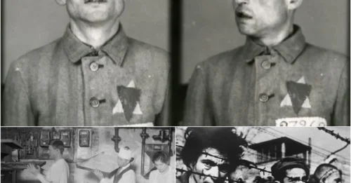 The 17-DAY LIFE of a Man in AUSCHWITZ CONCENTRATION CAMP: The Tragic Death of Stanisław Stimmler – The Baker with a SORROWFUL, RESOLUTE Gaze in His Final Moments