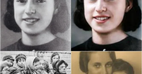 The MOST HAUNTING SMILE OF AUSCHWITZ: The Tragic Fate of Eva Edith Heimans – The 15-Year-Old Girl Born Into Love and a MYSTERIOUS END WITH NO GRAVE, NO RECORD