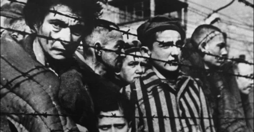The 17-DAY LIFE of a Man in the Auschwitz Prison Complex: The Tragic Death of Stanisław Stimmler – The Baker with a Sorrowful, Resolute Gaze in His Final Moments 7