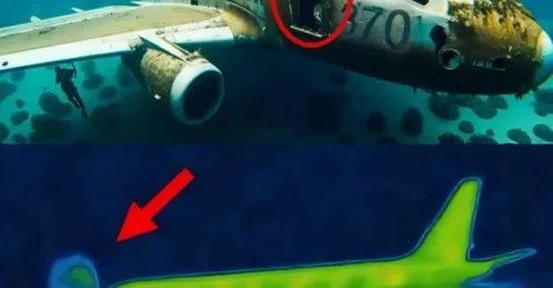 Terrifying new discovery of the haunted plane after 70 years of mystery changes everything