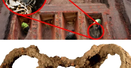 Many people shivered upon the discovery of a skeleton chained at the neck, carrying an ancient mystery of torture