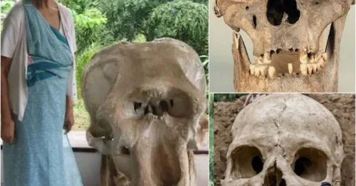 The 37,000-YEAR-OLD FACE and a forgotten TRAGEDY: The SHOCKING Secret Inside the Giant Skull Just Unearthed in Sri Lanka