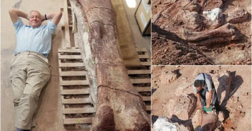 SHOCKING DISCOVERY: 121ft 