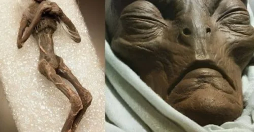 ALIEN MUMMY: Astoundingly Intact Body in Egyptian Tomb Leaves the Scientific Community STUNNED