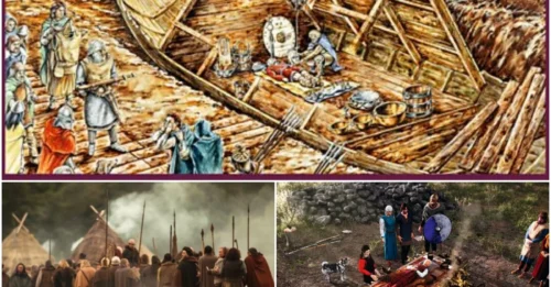 The Vikings' 