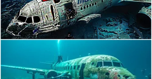 INSIDE THE CLASSIFIED FILES: Shocking Discovery Reveals Unbelievable Truth About the Missing MH370 Flight