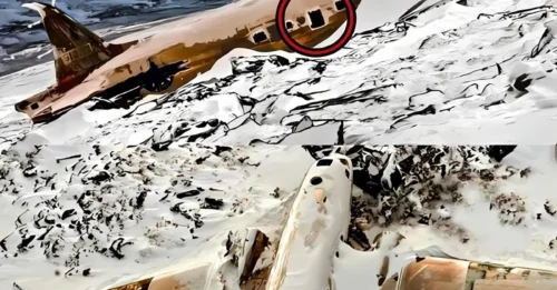 LOST PLANE was found after decades researchers are STUNNED when they SEE what's inside you will not believe what they found