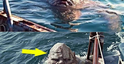 Mysterious Sea Creature Spotted Near Fishing Boat Sparks Global Curiosity