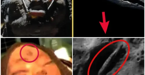 Apollo Missions Uncover 1.5 Million-Year-Old Alien Spacecraft and Bodies on the Moon