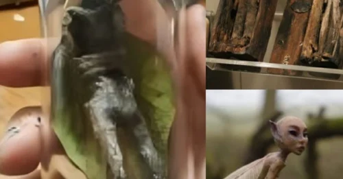 SHOCKING Discovery of 'Tiny Human Figures': An Ancient Secret BURIED for Centuries Has Been Unearthed, Challenging Everything We Know!