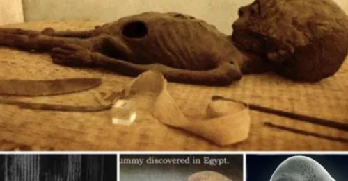 ALIEN MUMMY in an Egyptian Tomb: The SHOCKING Secret Inside the Giza Pyramid Has Finally Been EXPOSED