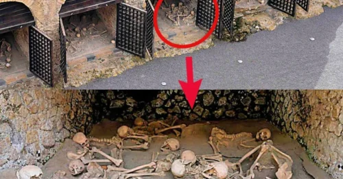History of excavations at Herculaneum” Discovery of tens of millions of Vesuvius “Skeletons” on the ancient beach