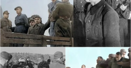 200,000 FURIOUS PEOPLE WITNESS 12 BRUTAL NAZIS EXECUTED AT BABI YAR: The Final Moments of the Butchers Who Paid for the Crime of Murdering Nearly 150,000 Innocent People