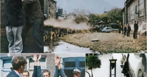 4,000 PEOPLE WITNESS the SHOCKING PUBLIC EXECUTION of 6 Nazi Collaborators by the French Resistance After Liberation: What Were Their Crimes That Made Them So Hated?