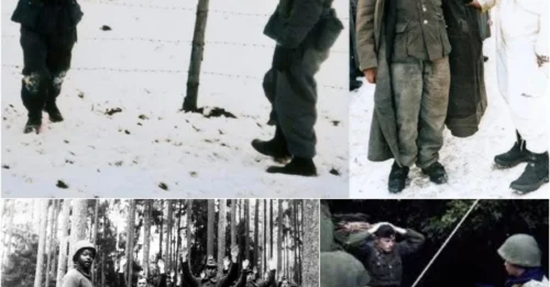 THE DARK REASON Why Waffen-SS Soldiers Were Often Denied Prisoner-of-War Rights and Executed On the Spot? THE UNFORGIVABLE CRIMES